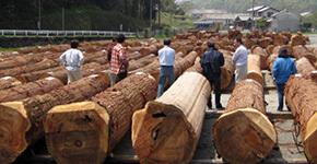 森林・林業活性化事業